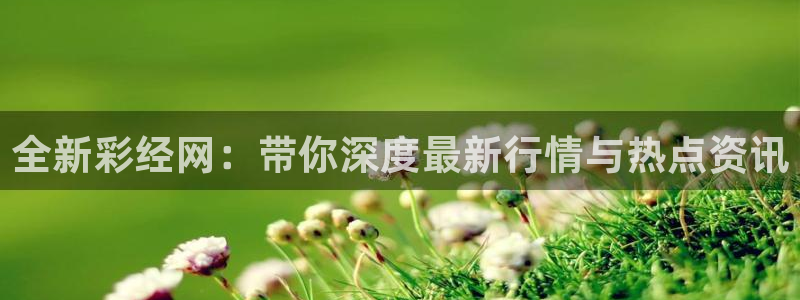 全新彩经网：带你深度最新行情与热点资讯