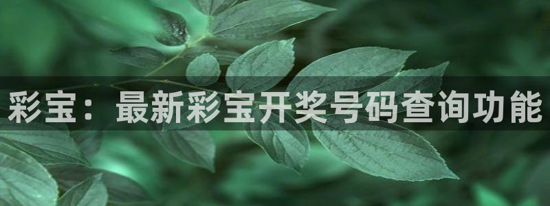 尊龙时凯体育免费注册入口：彩宝：最新彩宝开奖号码查询功能