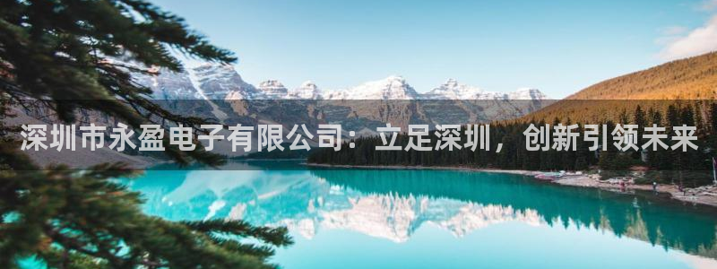 尊龙时凯招商：深圳市永盈电子有限公司：立足深圳，创新引领未来