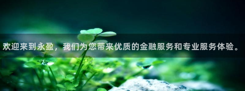 尊龙时凯3注册：欢迎来到永盈，我们为您带来优质的金融服务和专业服务体验。