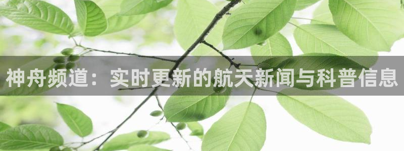 成都尊龙时凯电子有限公司：神舟频道：实时更新的航天新闻与科普信息